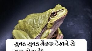 सुबह सुबह मेंढक देखने से क्या होता है